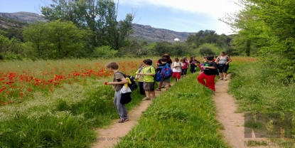 Itineraris de descoberta